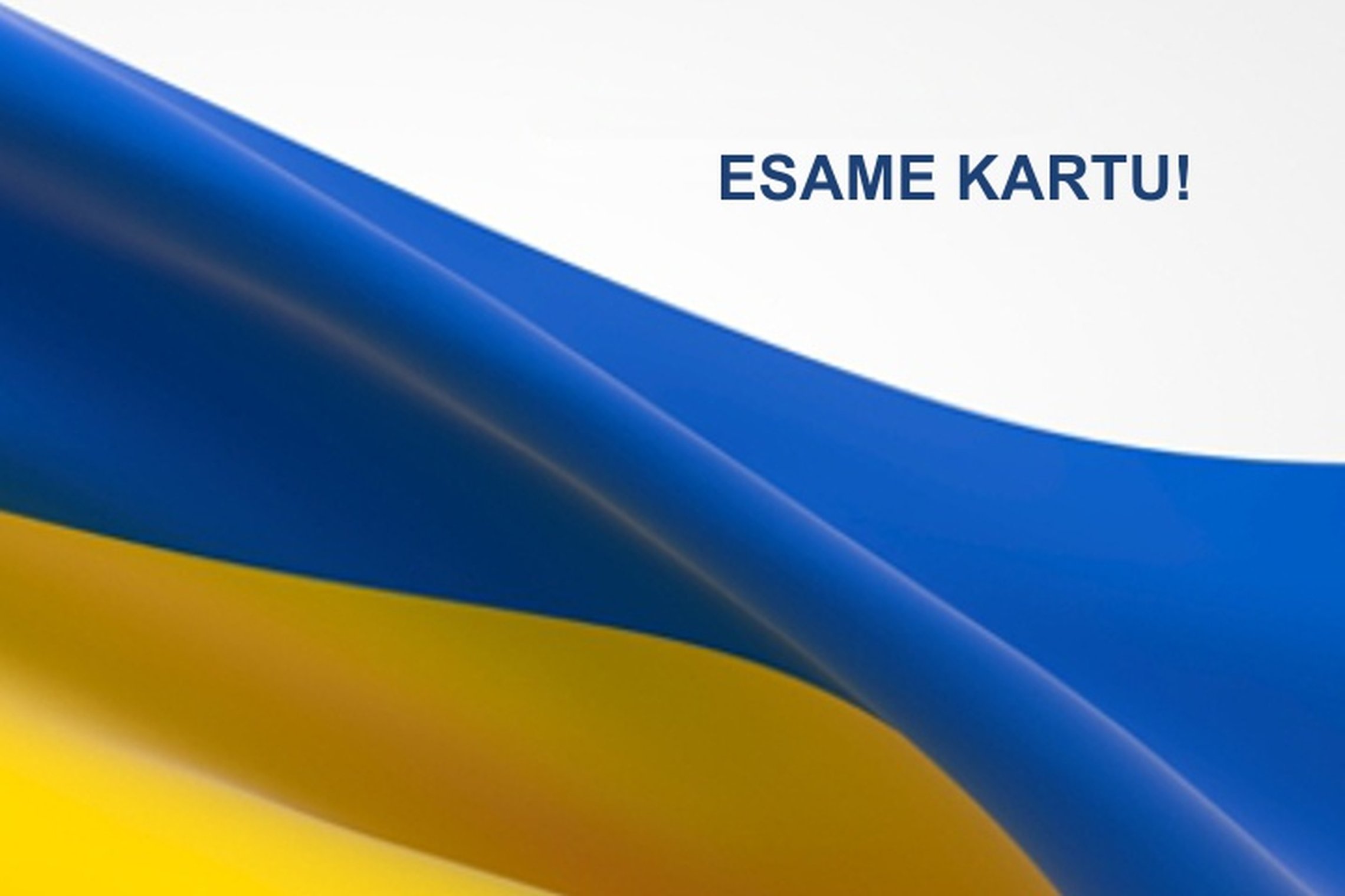 Ukrainos vėliava. Esame kartu!