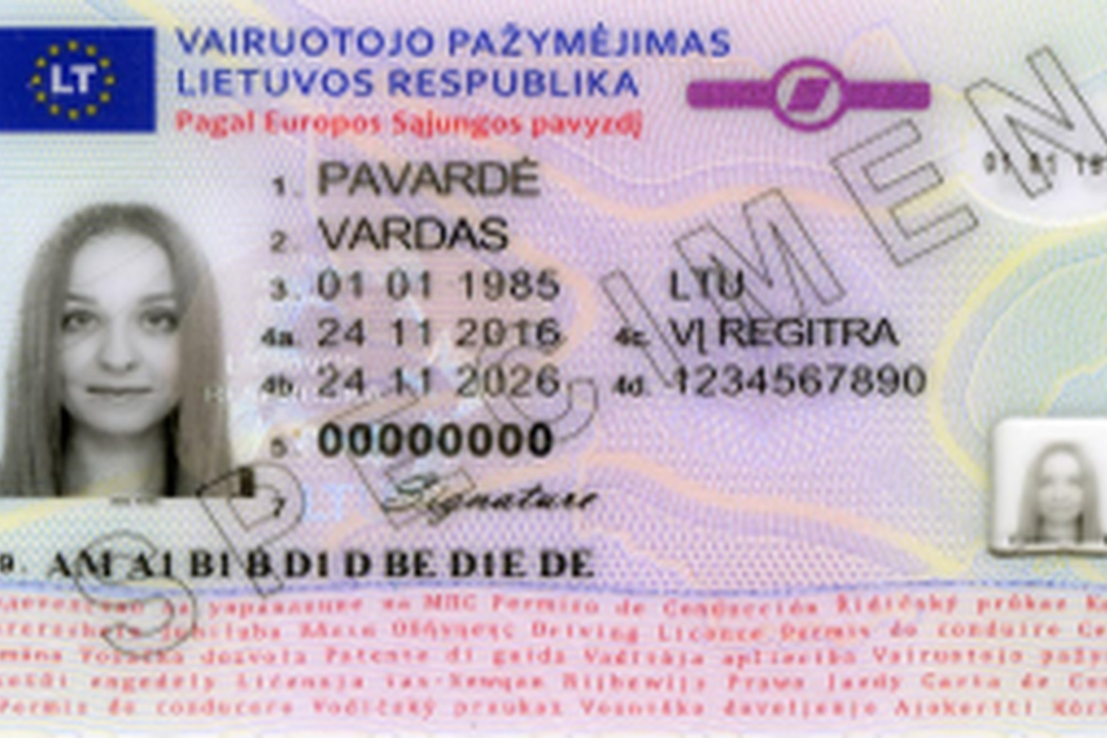 vairuotojo_pazymejimas