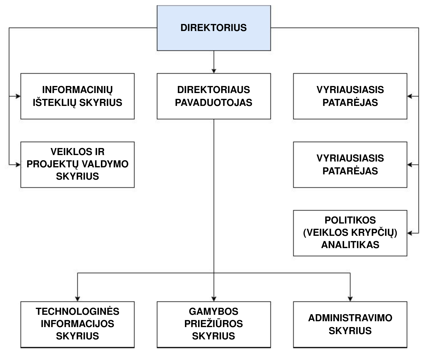 Tarnybos struktūros schema